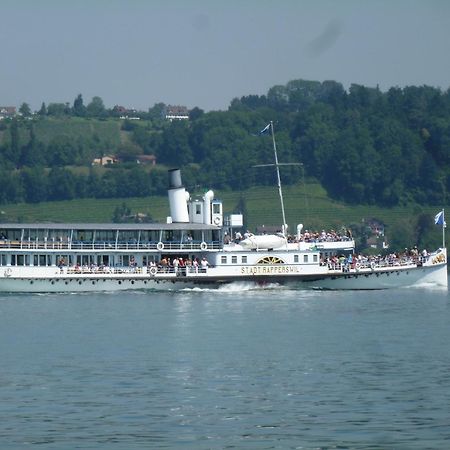 Ferienwohnung Rapperswil المظهر الخارجي الصورة